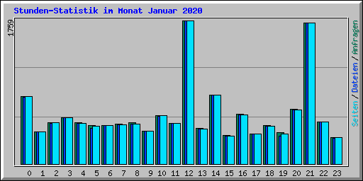 Stunden-Statistik im Monat Januar 2020