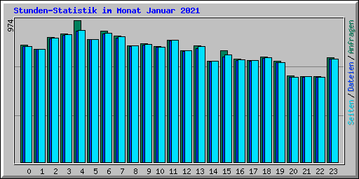 Stunden-Statistik im Monat Januar 2021