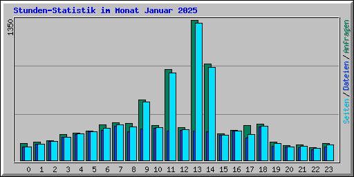 Stunden-Statistik im Monat Januar 2025